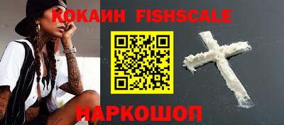стаф Кингисепп