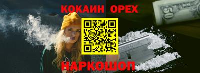 стаф Кингисепп