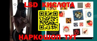 стаф Кингисепп