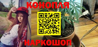 стаф Кингисепп