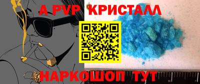 стаф Кингисепп