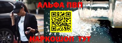стаф Кингисепп