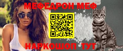 стаф Кингисепп