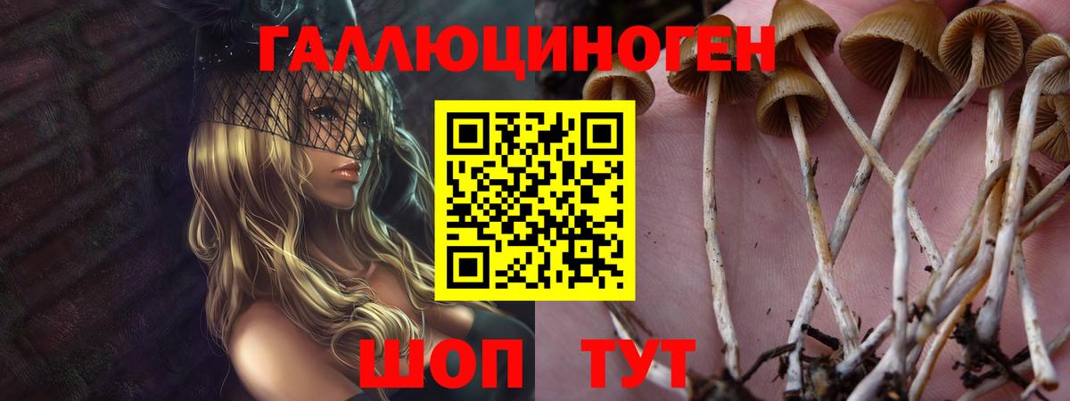 Буйнакск  Псилоцибиновые грибы мухоморы  Вход с VPN  где продают наркотики  Галлюциногенные грибы MAGIC MUSHROOMS 